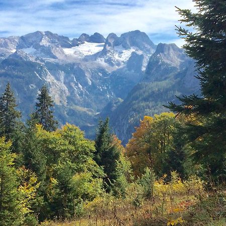 דירות Dachstein Mountainview גוסאו מראה חיצוני תמונה