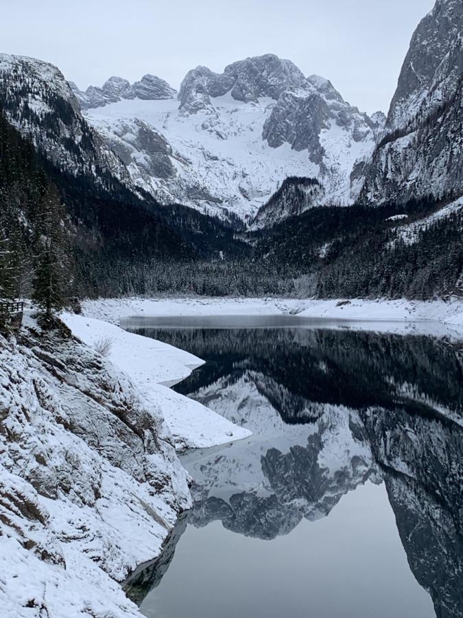 דירות Dachstein Mountainview גוסאו מראה חיצוני תמונה