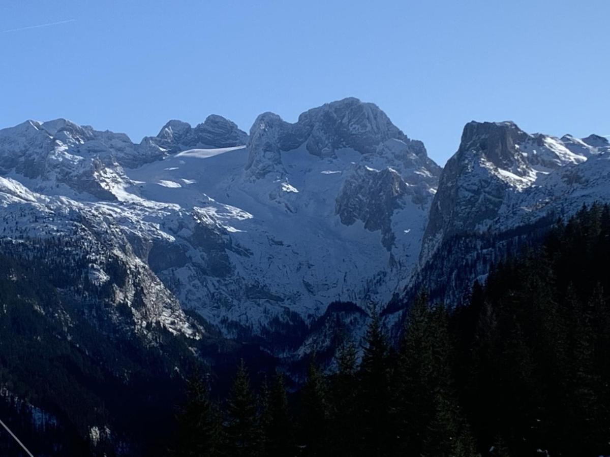 דירות Dachstein Mountainview גוסאו מראה חיצוני תמונה