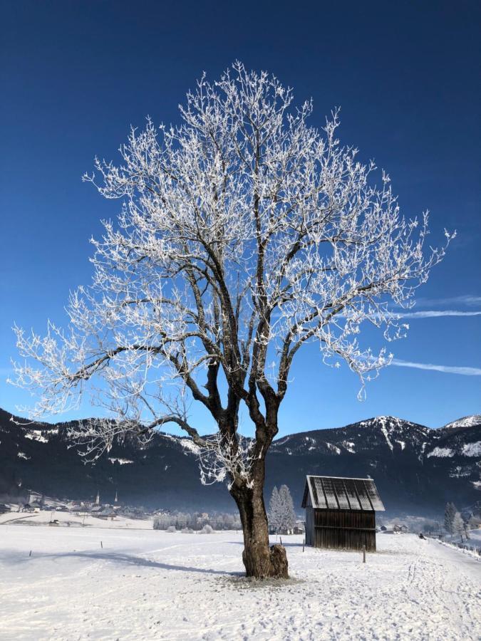 דירות Dachstein Mountainview גוסאו מראה חיצוני תמונה