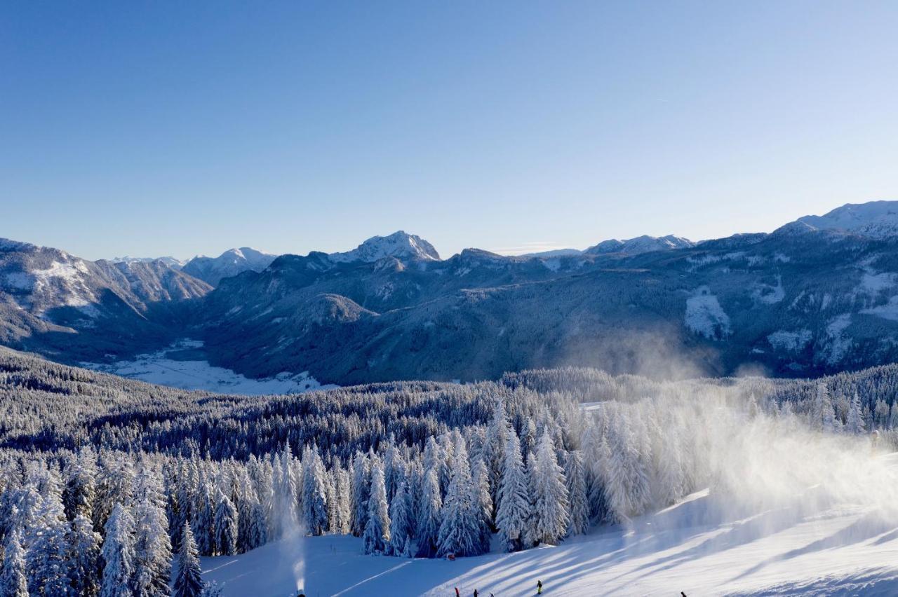 דירות Dachstein Mountainview גוסאו מראה חיצוני תמונה