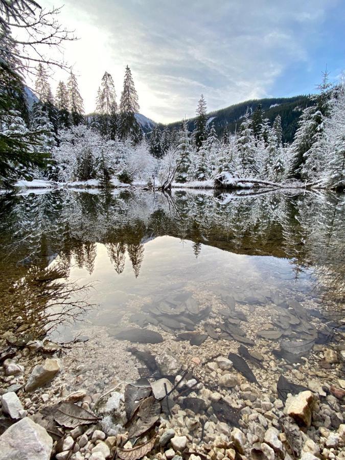 דירות Dachstein Mountainview גוסאו מראה חיצוני תמונה