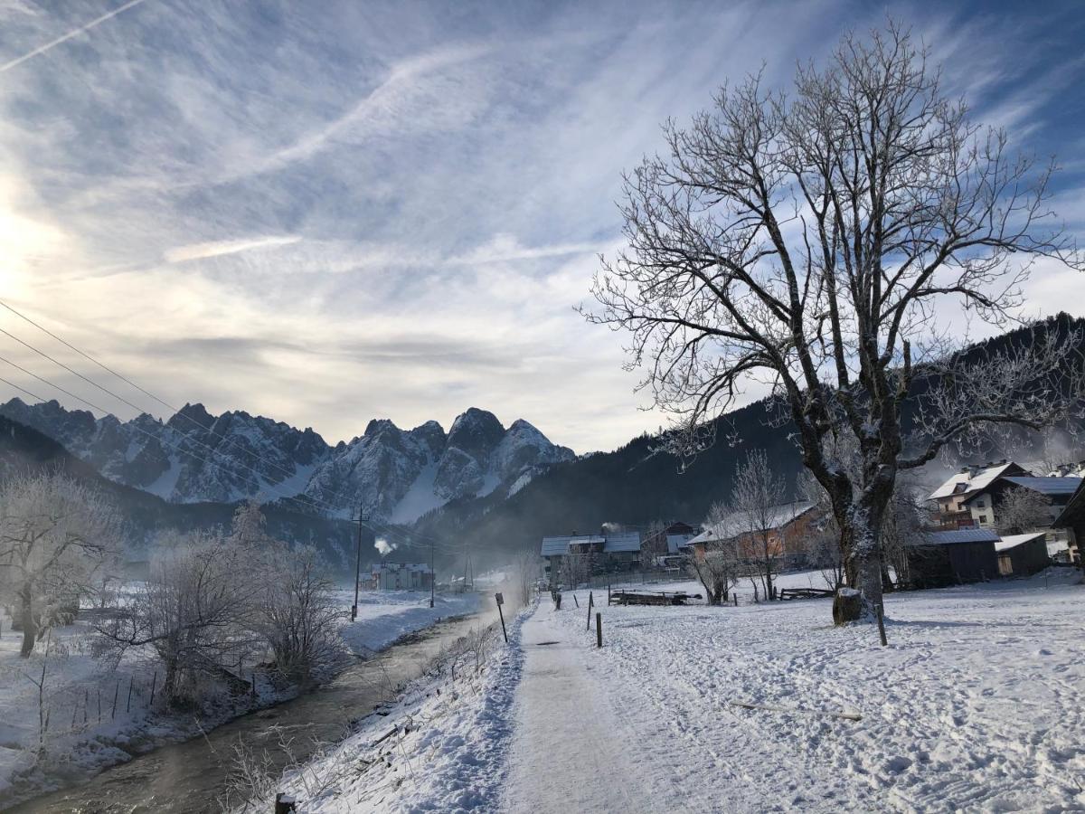 דירות Dachstein Mountainview גוסאו מראה חיצוני תמונה