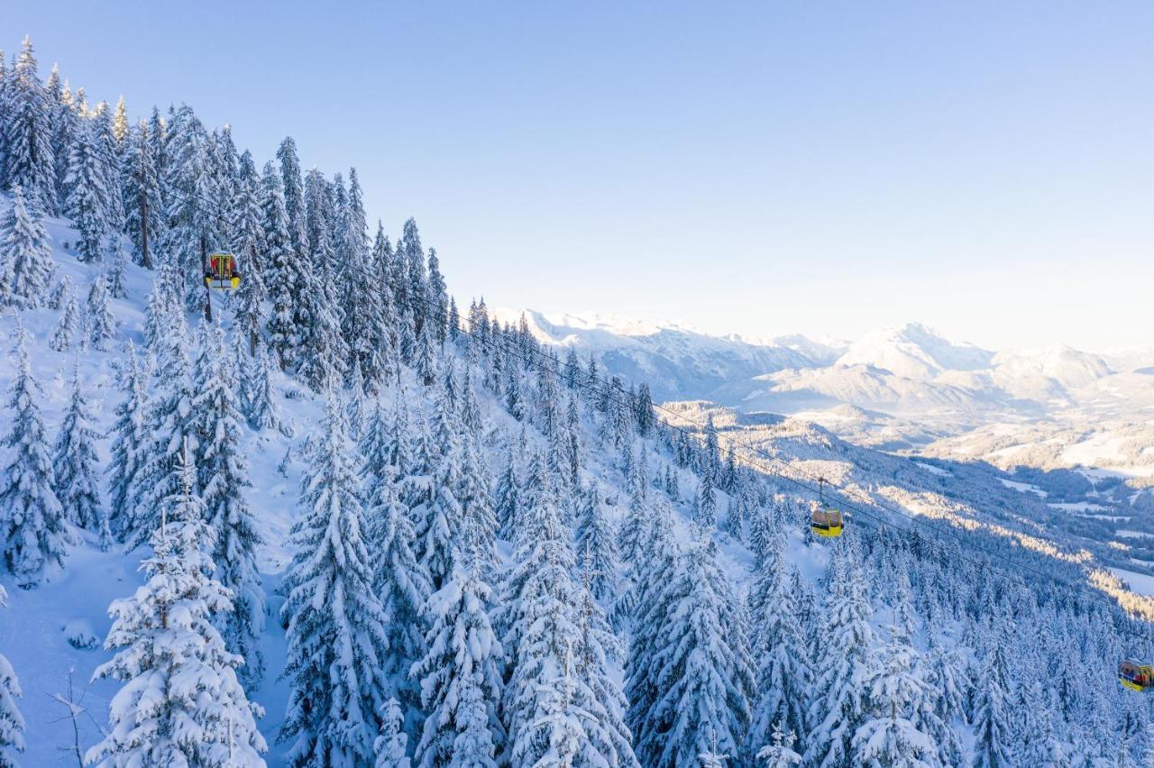 דירות Dachstein Mountainview גוסאו מראה חיצוני תמונה