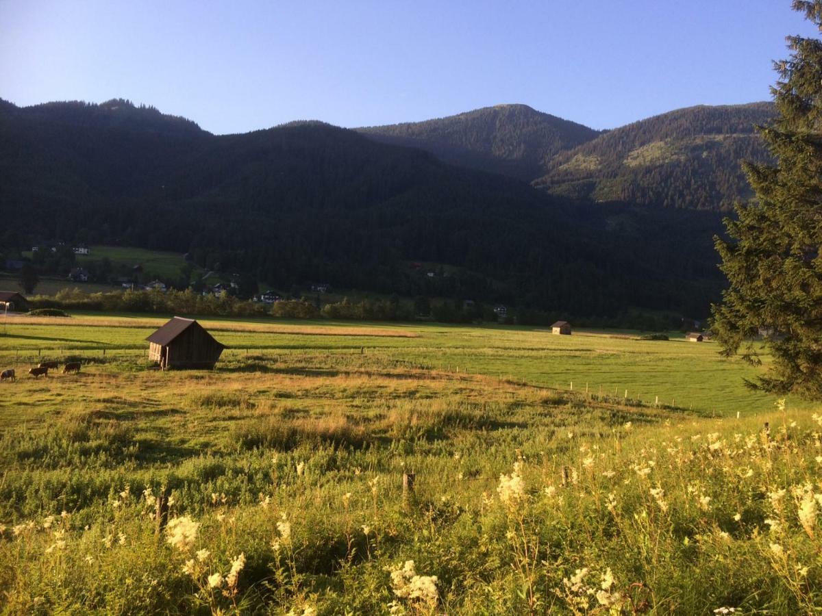 דירות Dachstein Mountainview גוסאו מראה חיצוני תמונה