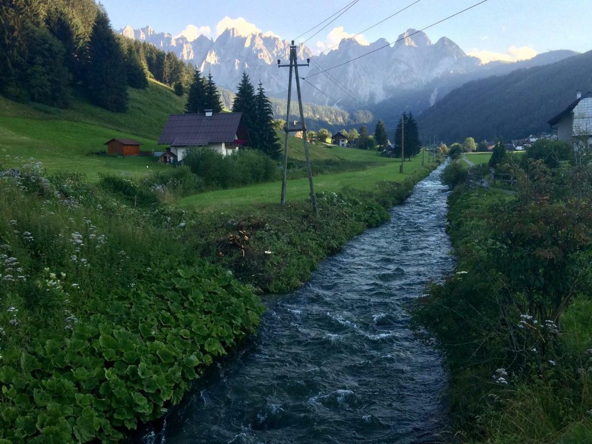 דירות Dachstein Mountainview גוסאו מראה חיצוני תמונה