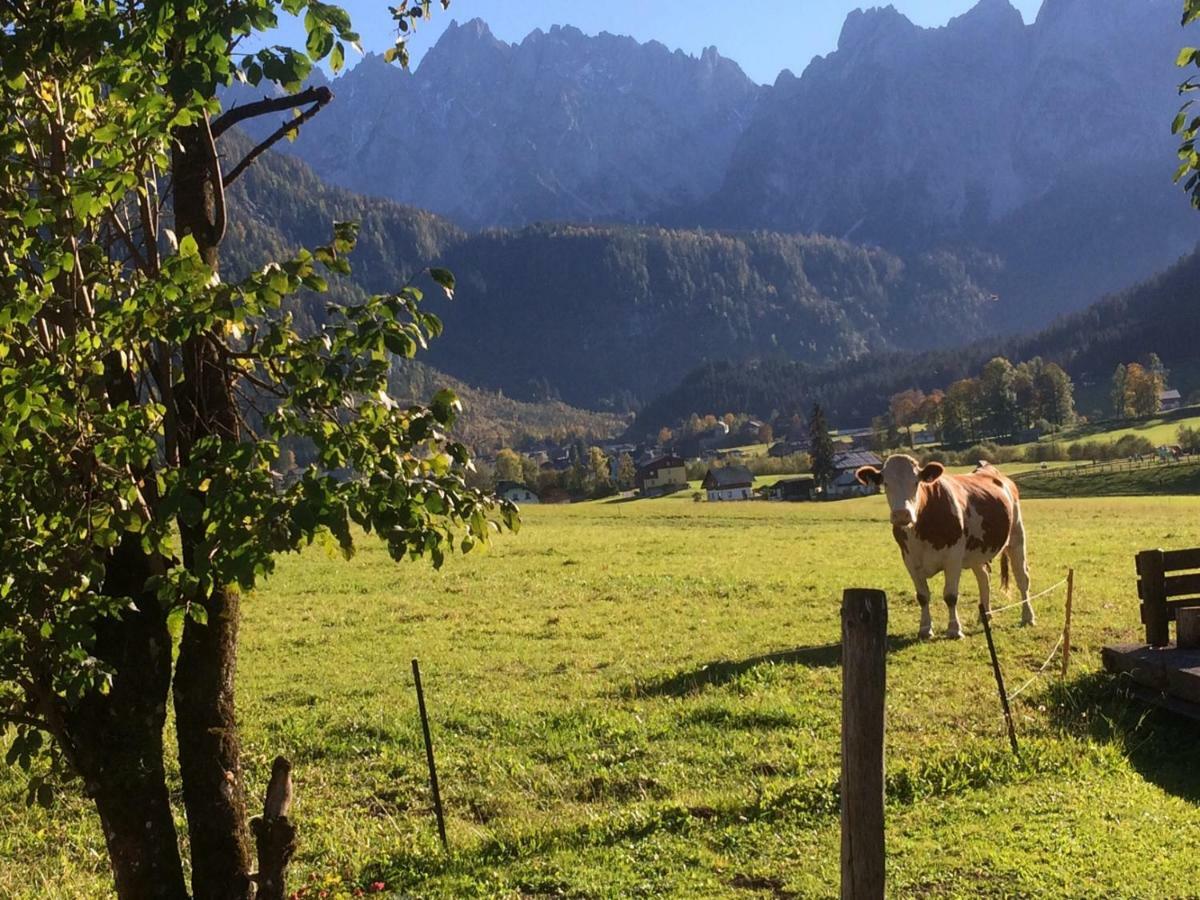 דירות Dachstein Mountainview גוסאו מראה חיצוני תמונה