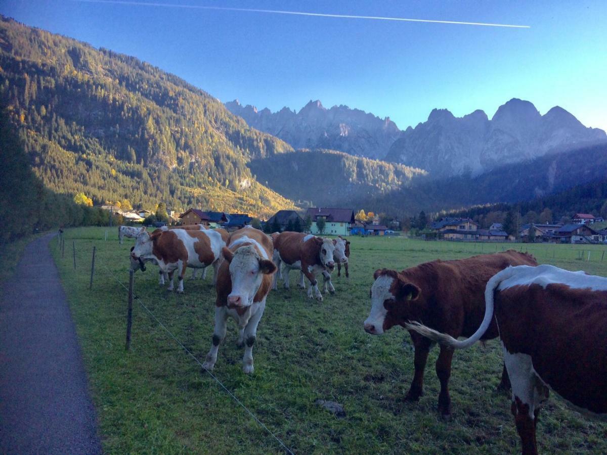 דירות Dachstein Mountainview גוסאו מראה חיצוני תמונה
