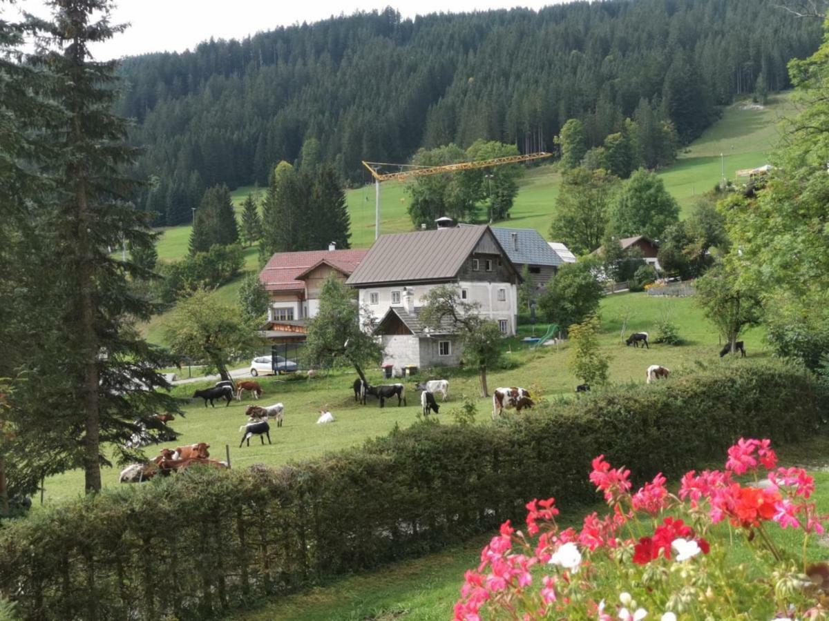 דירות Dachstein Mountainview גוסאו מראה חיצוני תמונה