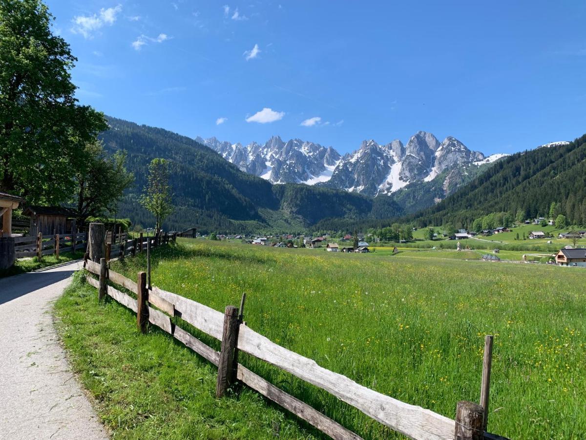דירות Dachstein Mountainview גוסאו מראה חיצוני תמונה